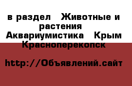  в раздел : Животные и растения » Аквариумистика . Крым,Красноперекопск